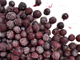 Blueberries Wild 1kg Speedyberry