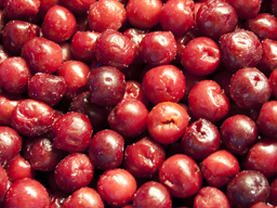 Cherries Sour IQF 10kg